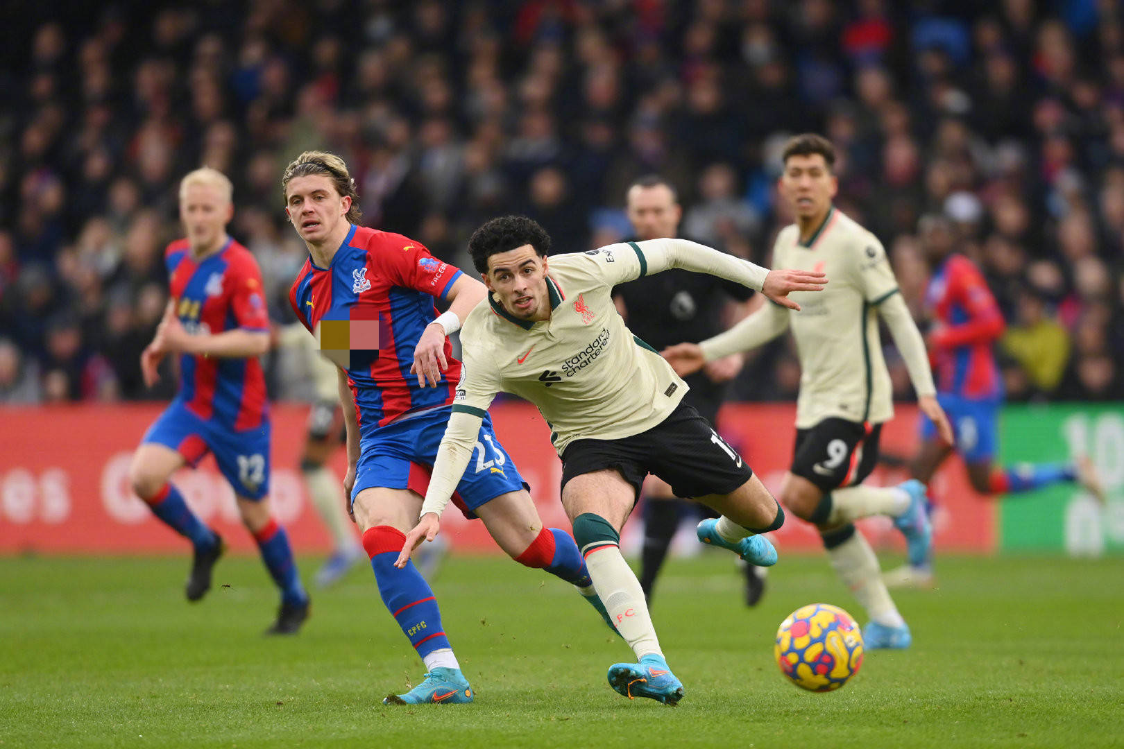 性让他不仅 性让他不仅